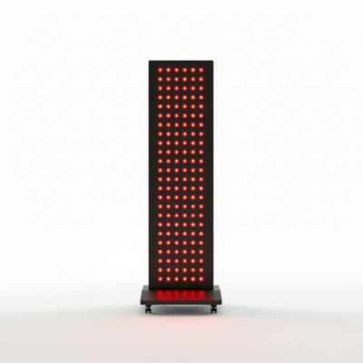 Red Light Therapy Panel Designed for Home Use, 300W Dual Wavelength System, 660nm and 850nm LEDs, Digital Timer